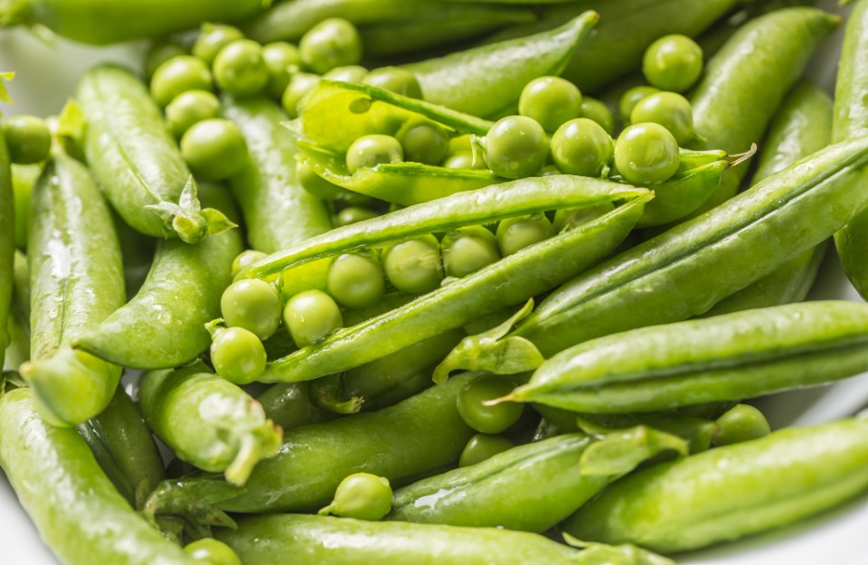 Green Peas Market Prices Today In Uttar Pradesh And Maharashtra On