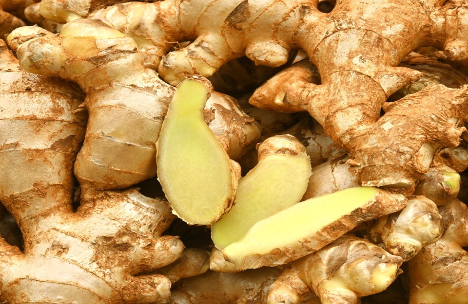 Green Ginger Market Price Today In Delhi And Gujarat On 09 April 2024