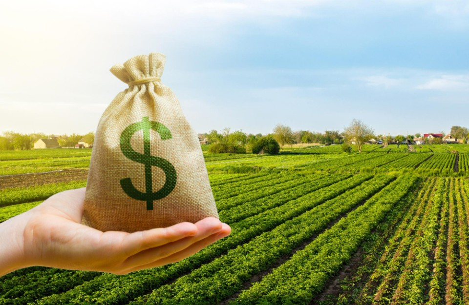 कृषि स्टार्ट-अप के लिए खुशखबरी, सरकार मदद को जल्द ला रही 750 करोड़ का फंड, किन्हें मिलेगा फायदा जानें