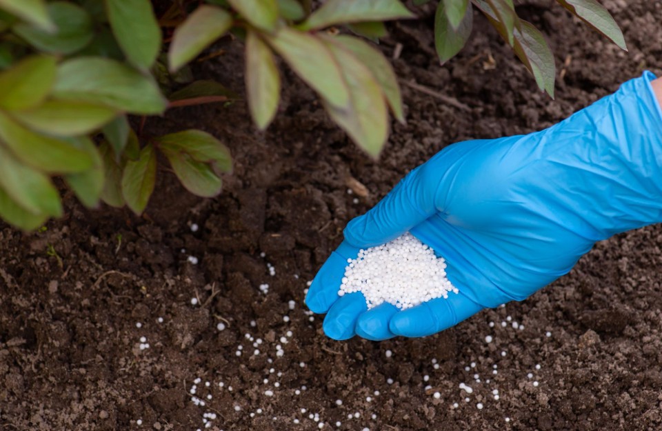 Rise in Prices of Single Super Phosphate Fertilizer in india