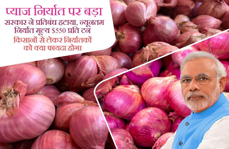 Onion Export: Government Lifts Ban On Onion Exports, Fixes Minimum Export Price at $550 per ton, Check Minimum Export Price Here