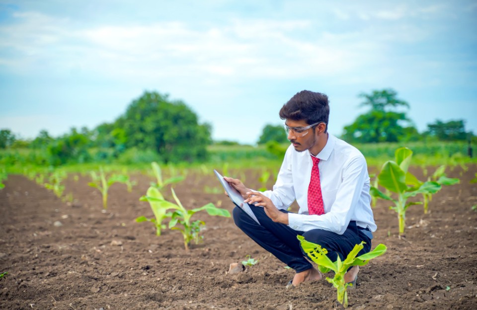 Increased Hope for India Agricultural Sector with Improved Southwest Monsoon Forecasts