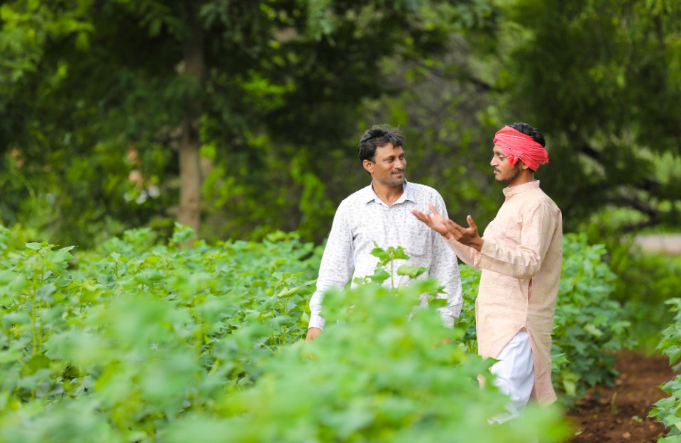 भारत के कृषि निर्यात में गिरावट, मुख्य बातें, जानें आसानी से प्वाइंट वाइज khetivyapar पर