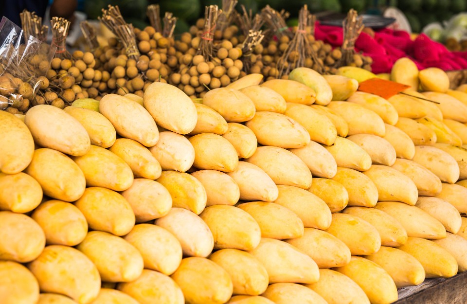 Mango Market Price Today (25 May 2024) in Gujarat | Mango Mandi Market ...