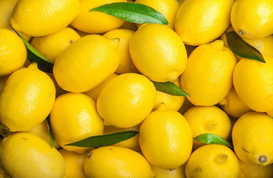 Lemon Prices Today in Rajasthan & Punjab (June 3, 2024) | Lemon Price ...