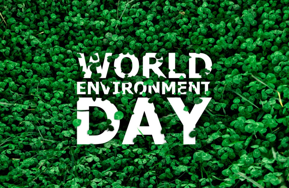 Why is Environmental Protection Necessary, Know History of World Environment Day