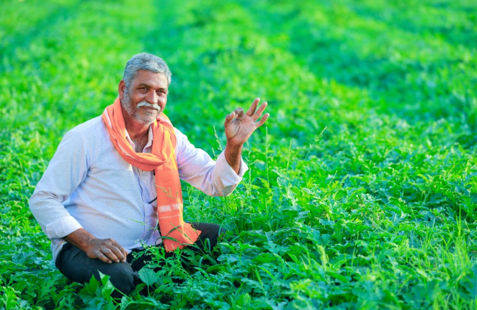 औषधीय पौधों के उत्पादन से किसानों को होगा दोगुना मुनाफा