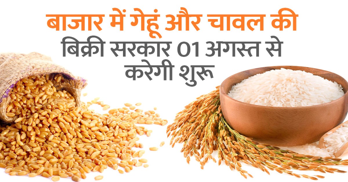 Wheat and Rice will be available at lower prices, know where and how