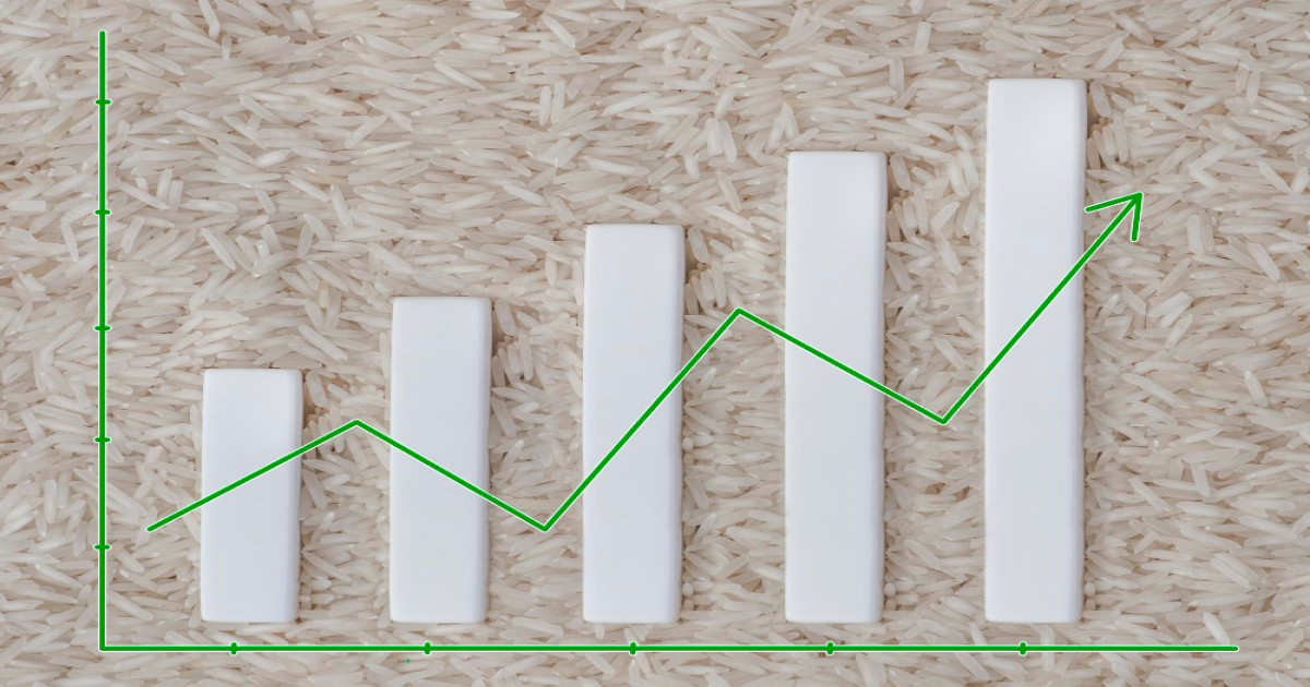 अंतरराष्ट्रीय चावल की कीमतों में उतार-चढ़ाव, जाने इसके पीछे के मुख्य कारण