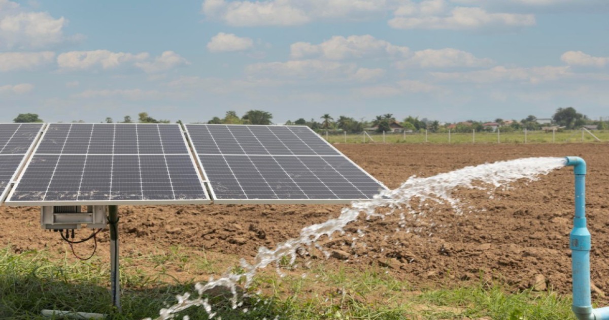 Uttar Pradesh Government to Train 30,000 Youths in Solar Panel Installation Under Surya Mitra Scheme