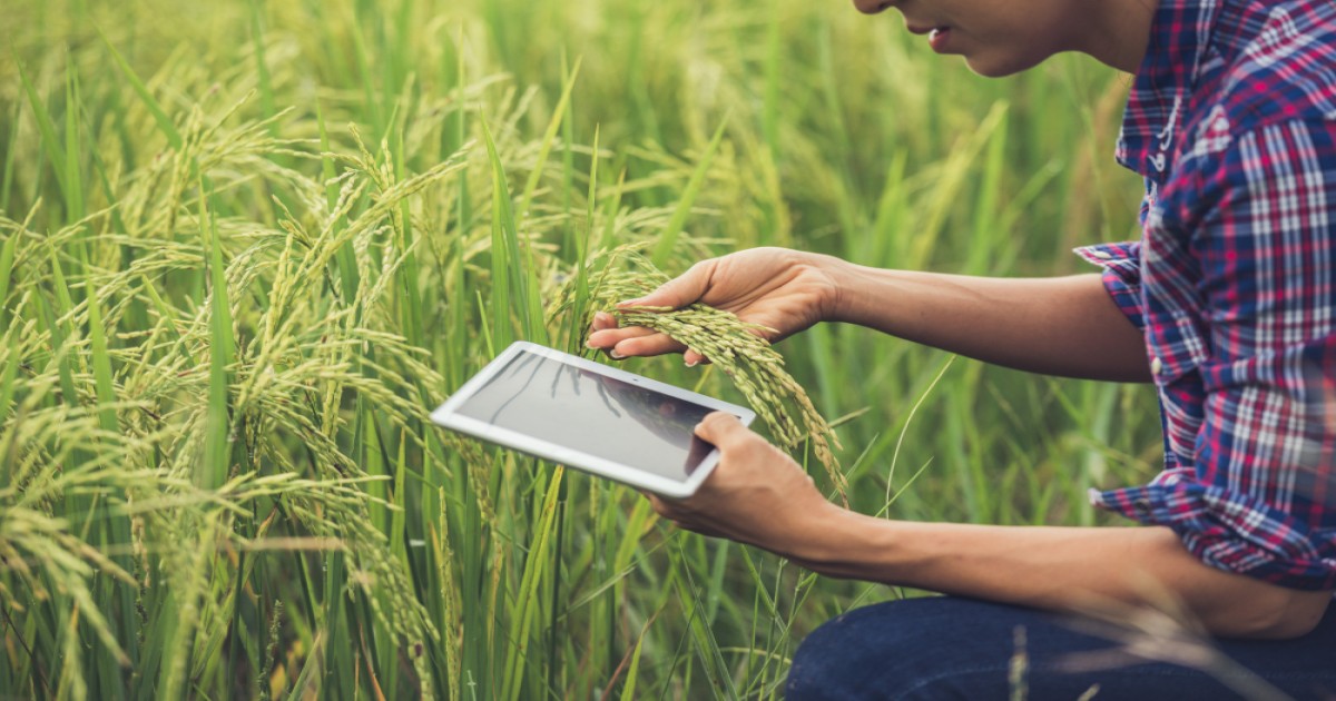 Government launches Krishi-DSS, agriculture sector will get digital lifeline